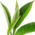 Earl Grey Tea